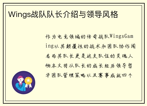 Wings战队队长介绍与领导风格